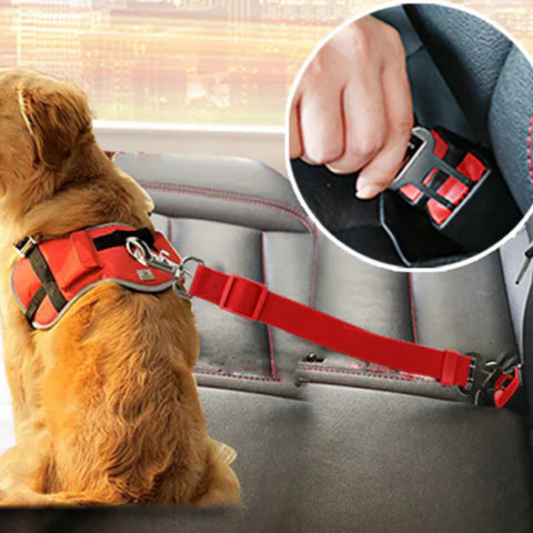 Cinturón De Seguridad Para Perros – Viajes Con Total Tranquilidad